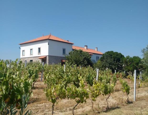 Quinta De Vodra Vila Seia Exterior foto