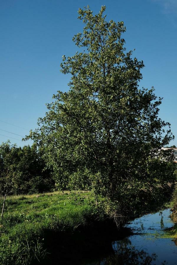 Quinta De Vodra Vila Seia Exterior foto